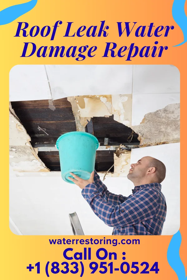 Roof Leak Water Damage Repair in Halfway, OR